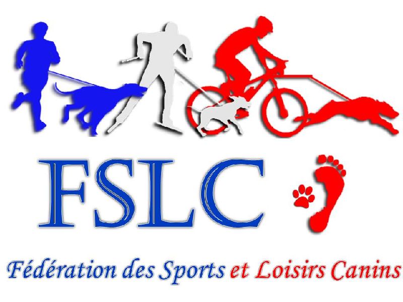 Logo officiel FSMC