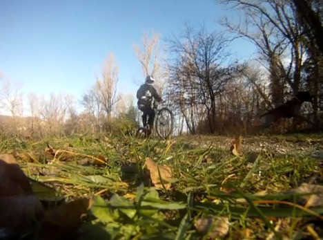 VTT