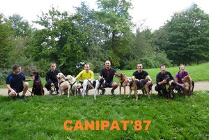 canipat 187